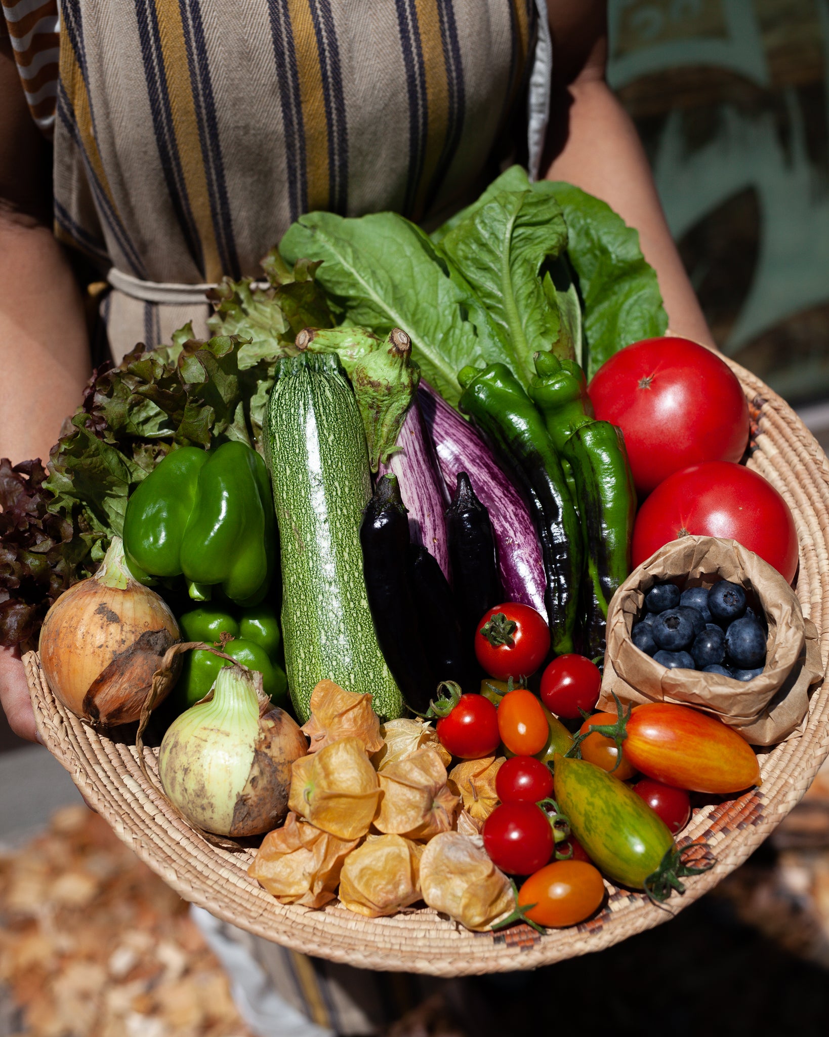Pyram Organics  Plants オーガニック食材、自然食品を「量り売り」で。